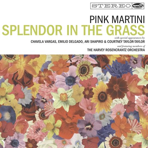splendor in the grass pink martini